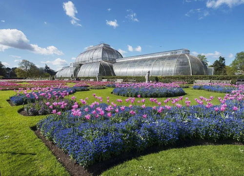 云南花卉業(yè) 以荷蘭為師，構(gòu)筑亞洲花都新愿景